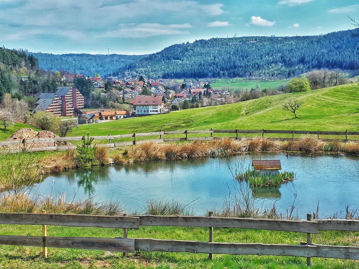 Ferienwohnung Schwarzwald Woelkchen Baiersbronn Exterior foto
