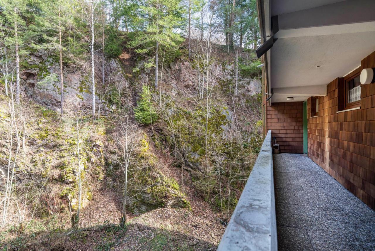 Ferienwohnung Schwarzwald Woelkchen Baiersbronn Exterior foto
