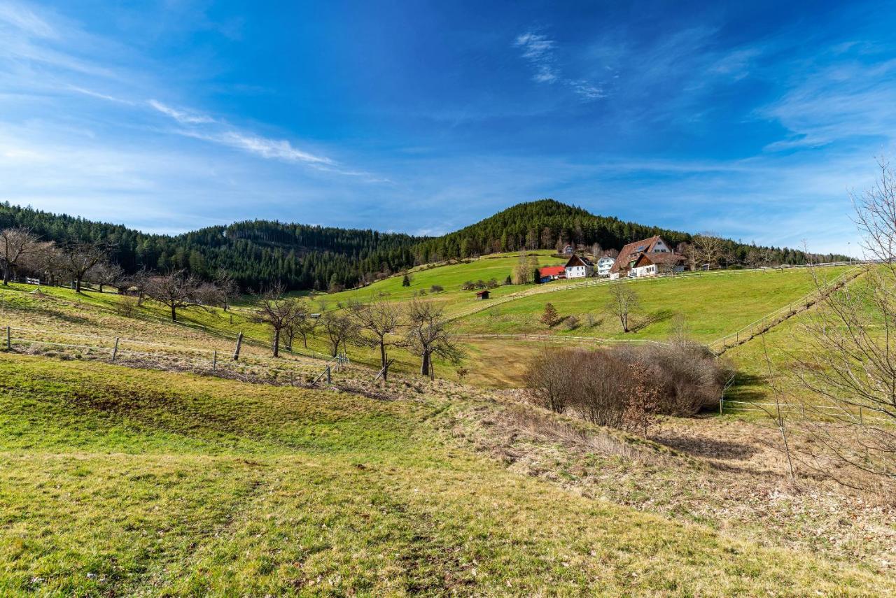 Ferienwohnung Schwarzwald Woelkchen Baiersbronn Exterior foto